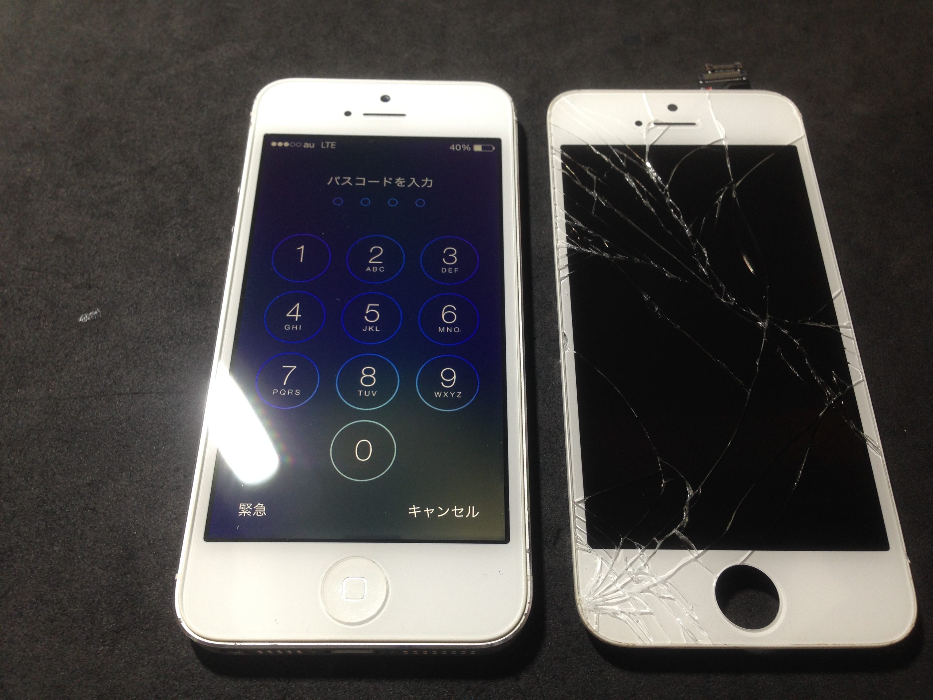 写真 2014-11-18 18 32 04.jpg